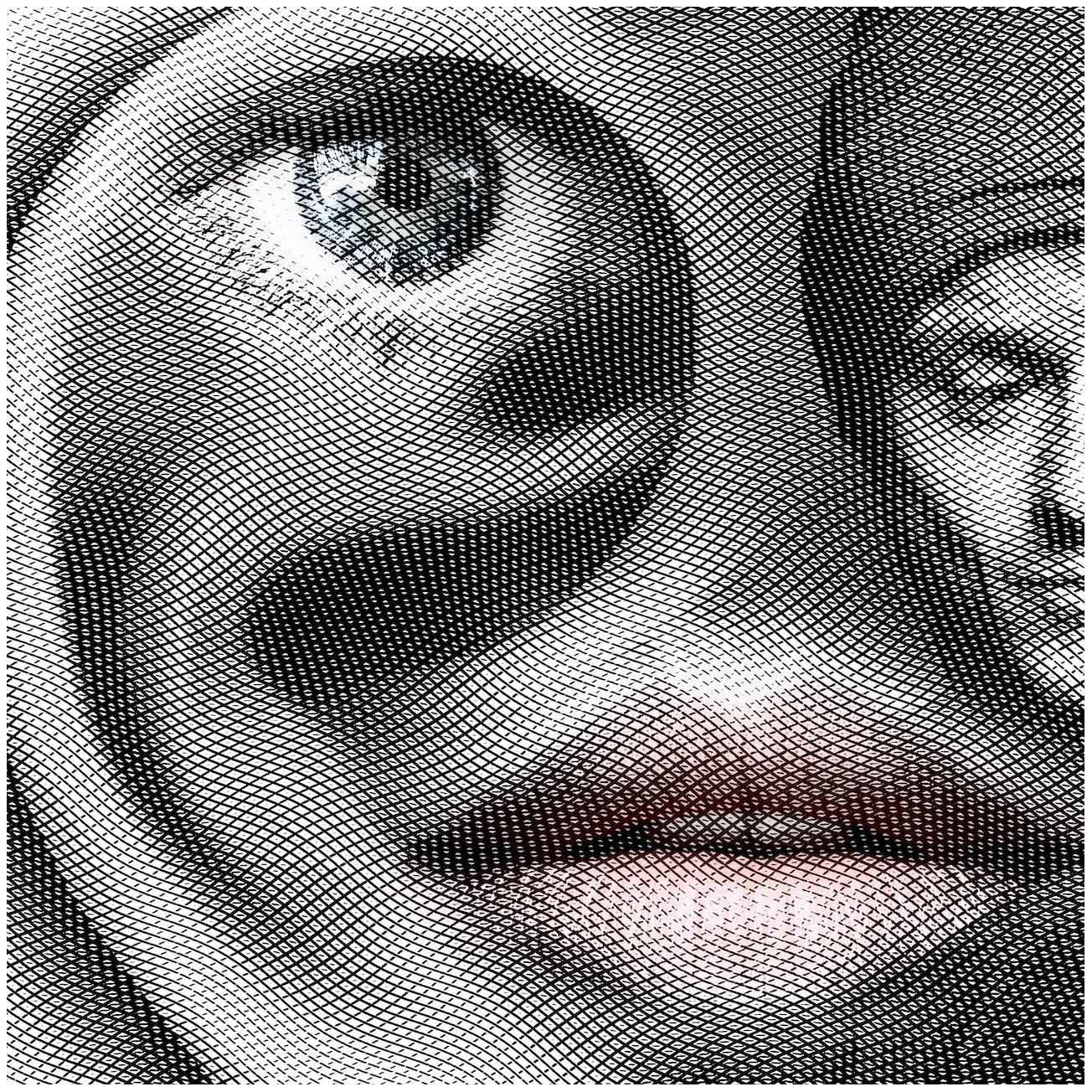 Illustration Holzschnitt NEYEN Ralph Zimmermann